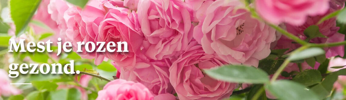 [paste advice page name here]